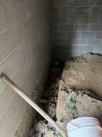 IMG_6948.jpeg IMG_6948.jpeg