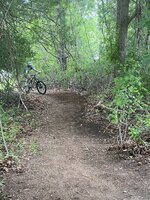 IMG-9812.jpg IMG-9812.jpg