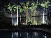 LED Back Yard Final 1.jpg