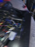 20250521_101736.jpg