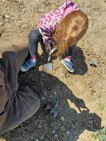 20250427_161627.jpg