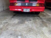 IMG_6981.jpeg IMG_6981.jpeg
