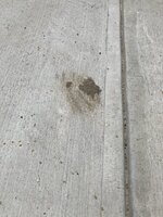 IMG_8885.jpeg IMG_8885.jpeg