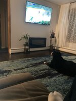 IMG_4255.jpeg