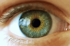 Fmedia.tenor.com%2FGLkOpdngu3UAAAAC%2Fpupil-vision.gif