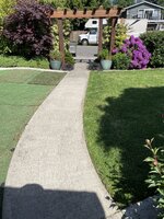 IMG_9049.jpeg