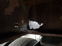 IMG_1717.jpeg IMG_1717.jpeg