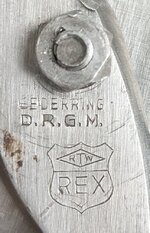TIN-rex.jpg