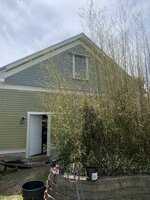 IMG_2178.jpeg