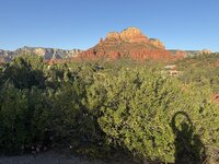 IMG_4133.jpeg IMG_4133.jpeg