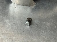IMG_4228.jpeg IMG_4228.jpeg