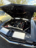 IMG_4297.jpeg IMG_4297.jpeg