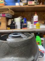 IMG_5659.jpg