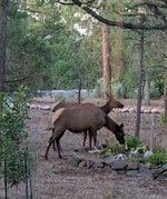 IMG_20250530_051249~2.jpg