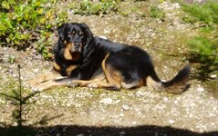 Summer 2011 004.jpg