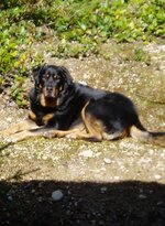 Summer 2011 003.jpg
