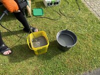 IMG_5981.jpeg