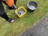 IMG_5987.jpeg