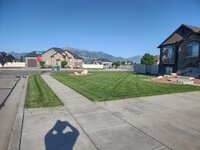 lawn1.jpg lawn1.jpg