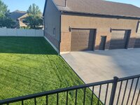 lawn4.jpg lawn4.jpg