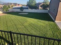 lawn5.jpg lawn5.jpg