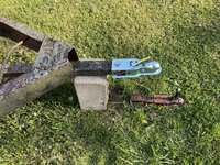 IMG_6455.jpeg