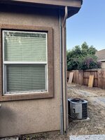 IMG_1923.jpeg