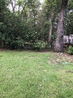 IMG_9785.jpeg IMG_9785.jpeg
