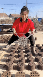 dungdiskmakr2.gif
