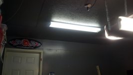 newlight-2.jpg