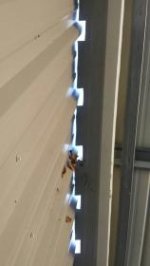 20131224_130109.jpg