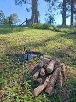 9 Azalea Court - North West Corner - Sawn Branch No. 1.jpg
