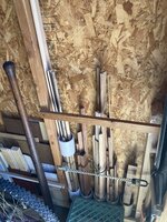IMG_5496.jpeg IMG_5496.jpeg