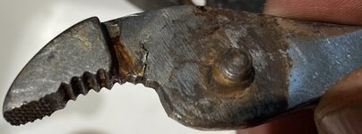 IMG_5583.jpeg