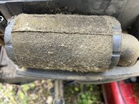 IMG_6475.jpeg IMG_6475.jpeg