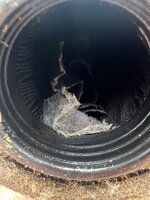 IMG_6478.jpeg IMG_6478.jpeg