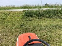IMG_6466.jpeg IMG_6466.jpeg