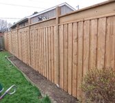 FENCE !A.JPG