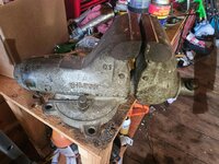 IMG_1387.jpeg