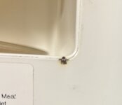 IMG_4628.jpeg