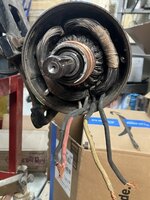 IMG_2052.jpeg