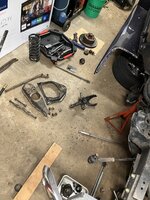 IMG_7176.jpeg