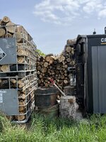 IMG_3679.jpeg