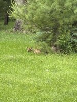 IMG_2823.jpeg