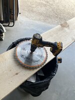 IMG_5375.jpeg