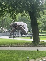 IMG_7249.jpeg
