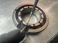 IMG_4646.jpeg IMG_4646.jpeg