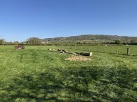 IMG_3754.jpeg IMG_3754.jpeg