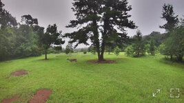 IMG_0932.jpeg