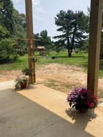 IMG_5536.jpeg